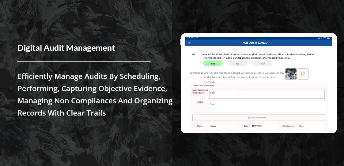Transform screenshot 2